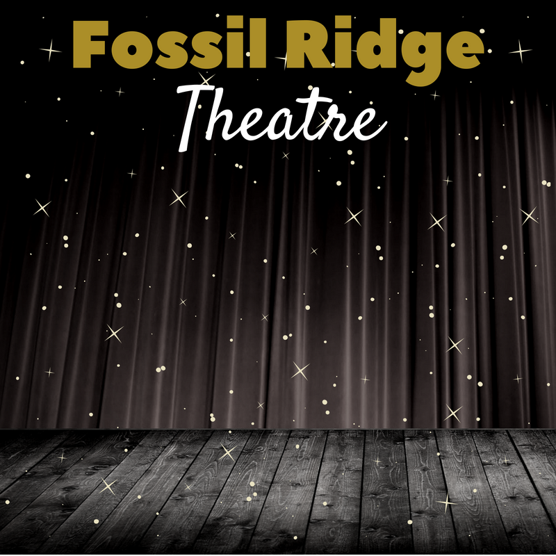 Fossil ridge theatre on a stage with twinkle lights
